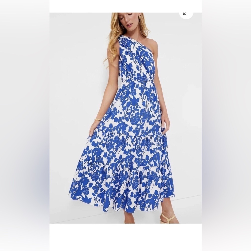 Hyacinth House Sybil Maxi Dress XXS Blue Floral One Shoulder Cotton Lined NWT - Picture 15 of 16